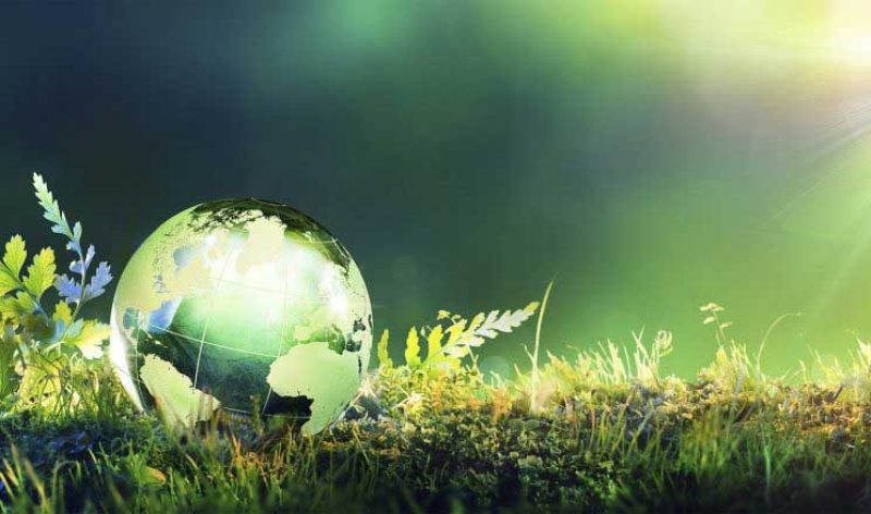 تقابل توسعه با محیط زیست علت شکست زیست محیطی40 سال گذشته